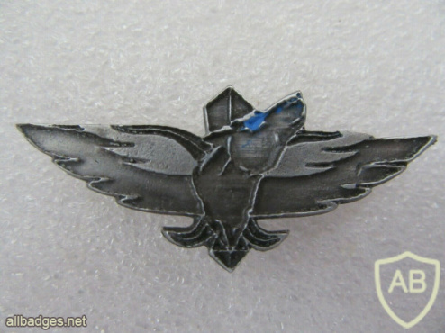 Unidentified badge- 44 img54424