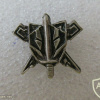 Unidentified badge- 42 img54425