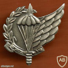 Paratroopers Corps
