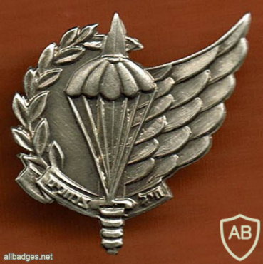Paratroopers Corps img54420