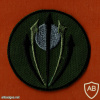 חטיבת חיצי האש חטיבת הצנחנים ( מיל.) חטיבה 551 לשעבר חטיבה 409