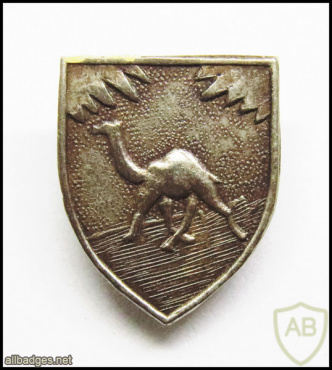 Arava Spatial Brigade - 406th Brigade img54535
