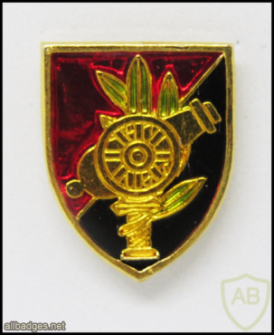 Unidentified badge- 1 img54700