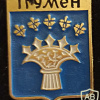 Igumen (now Chervyen) coat of arms img54813