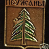 Pruzhany coat of arms img54801