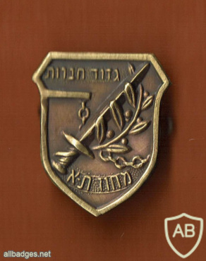 גדוד חברות מחוז תל אביב גירסה ראשונית img54850