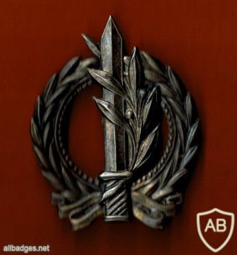 סמל פורום מטכ"ל / סגל הפיקוד הכללי img54925