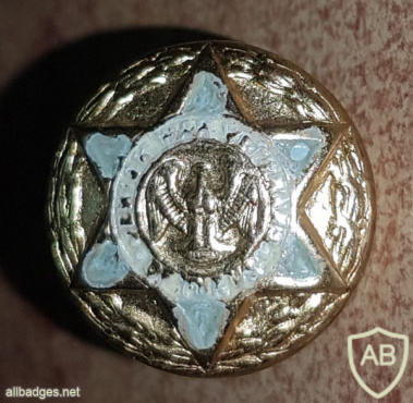 JEWISH WAR VETERAN OF USA img54961