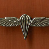 Parachute wings img54924