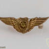 Pilot wings - Golden img54947