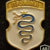 Pruzhany coat of arms