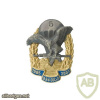 Belarus 334th separate special purpose detachment 20 years badge