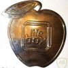 Медаль 2 место Лучшая идея конкурса lifebox 2005 img55313