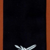דרגת תת אלוף (תא"ל) - חיל האוויר. img55383