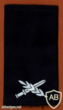 דרגת תת אלוף (תא"ל) - חיל האוויר. img55383