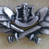 Unidentified badge- 30 img55370