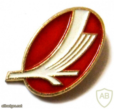 Нагрудный знак стюардессы авиакомпании Belavia 1996-2016 (вариант 2) img55458