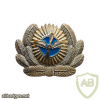 USSR Civil Aviation cap badge