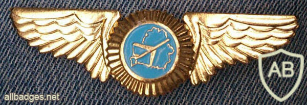 Belavia Belarusian Airlines pilot badge img55460