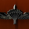 Tactical parachute wings