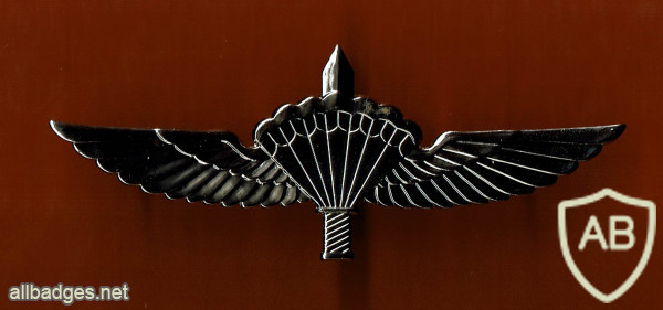 Tactical parachute wings img55452