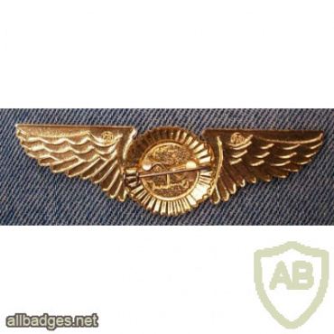 Belavia Belarusian Airlines pilot badge img55461
