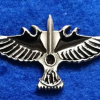 Unidentified badge- 32 img55439