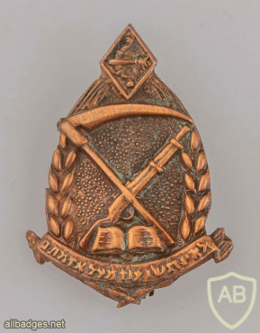 Unidentified badge-1 img55631