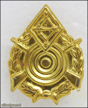 Slingshot Youth battalions - Golden img55661