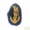 Platoon commander - Navy