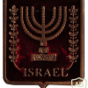 Israel coat of arms
