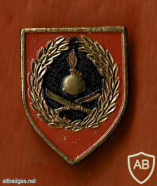 Eng. platoon of Herev btn (druze btn, unit 300, 299) img56268