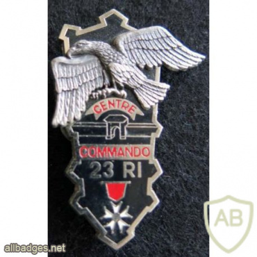 FRANCE 23rd Infantry Regiment commando training center pocket badge img56460