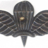 Ethiopia Parachutist wing img56581