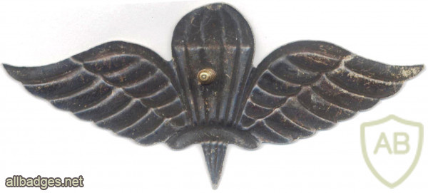 Ethiopia Parachutist wing img56581