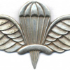 Ethiopia Parachutist wing