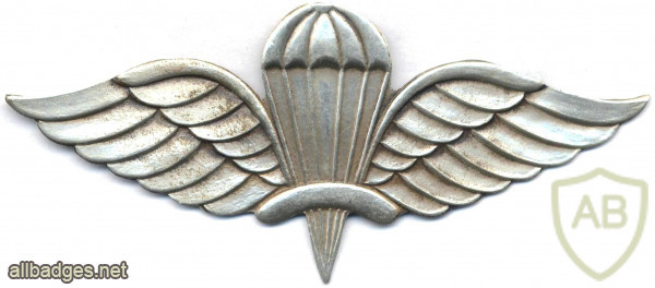 Ethiopia Parachutist wing img56580
