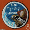 Generic F-16 FIGHTING FALCON patch