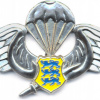 ESTONIA Special Operations Group (SOG) Parachutist wings, numbered