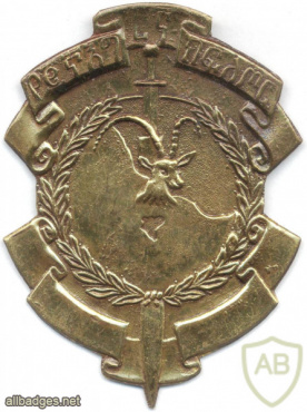 ETHIOPIA Army 2nd infantry division hat badge img56582