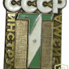 USSR Tourist instructor badge img57022