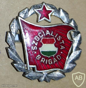 Hungarian Socialist Brigade Members Badge img57030