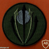 חטיבת חיצי האש חטיבת הצנחנים ( מיל. ) חטיבה- 551 לשעבר חטיבה- 409 img57055