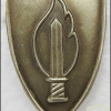 Unidentified badge- 70