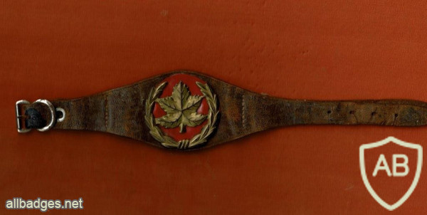 דרגת יד רב סמל "שעון"  1948- 1950 img57294