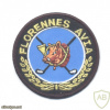 Belgian Air Force 2nd Tactical Wing patch