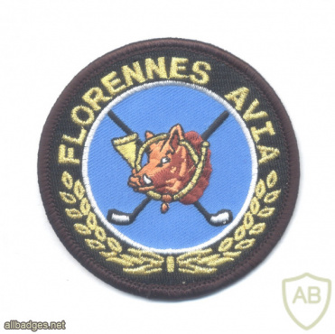 Belgian Air Force 2nd Tactical Wing patch img57434