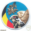 Belgian Air Force 1st Squadron "Stingers" swirl patch