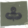 US Army Master Parachutist wings, embroidered, black on olive green