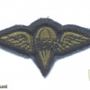 US Army Parachute Rigger Badge, cloth, subdued img57480